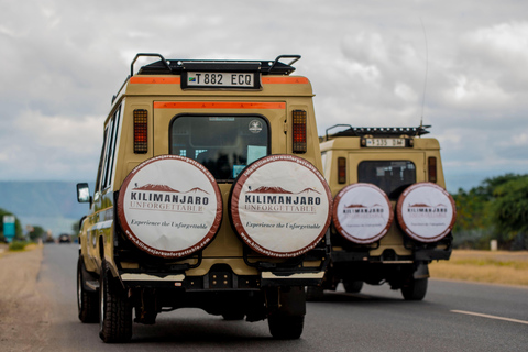 Arusha : excursion d&#039;une journée au cratère du Ngorongoro avec déjeuner