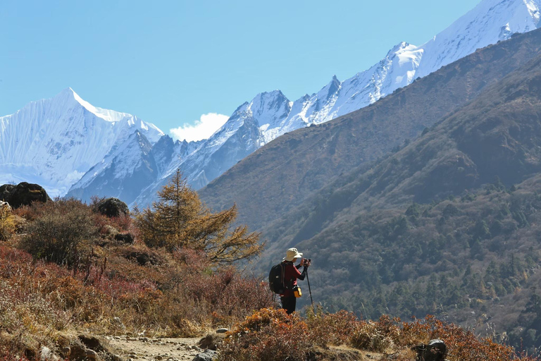 Journey Through Langtang: A 6-Day Trek with Meals