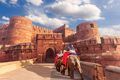 From Delhi: Taj Mahal & Agra Fort VIP Tour with 5* Dining From Delhi: Car + Guide Only