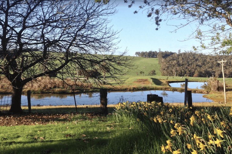 Nannup: Chestnut Brae Witches Garden Tour with Snack