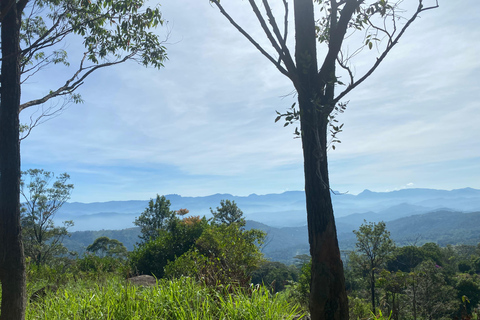 LOCATION: Hanthana to Galaha Pekoe Trail Stage 01 Trek Pekoe Trail Stage 01 -Hanthana to Galaha Tracking