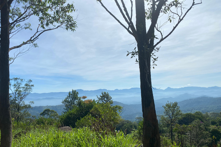 LOCATION: Hanthana to Galaha Pekoe Trail Stage 01 Trek Pekoe Trail Stage 01 -Hanthana to Galaha Tracking