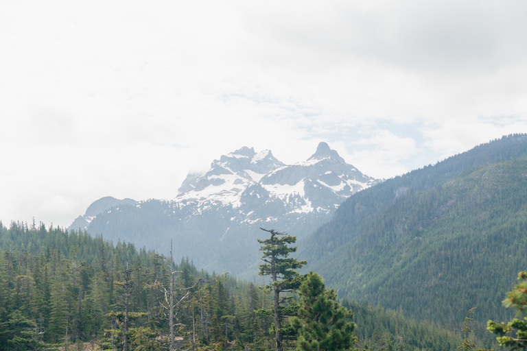 Vancouver: Sea to Sky Gondola och dagsutflykt till Whistler