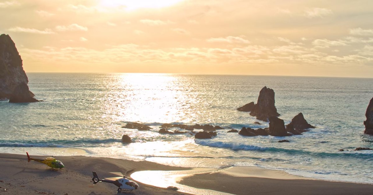 Milford Alps to Ocean Helicopter Tour GetYourGuide