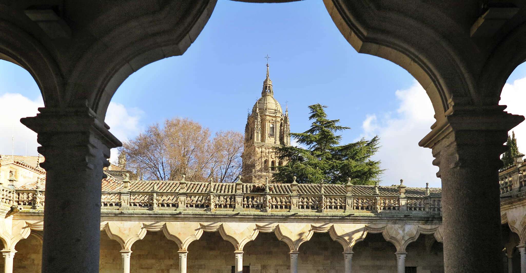 Salamanca, Miguel de Cervantes walking tour - Housity