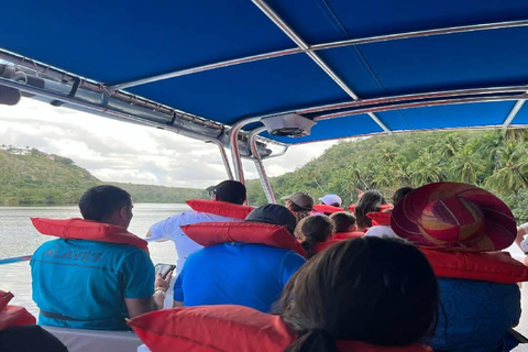 Punta Cana: Saona Island Speedboat Tour with Lunch