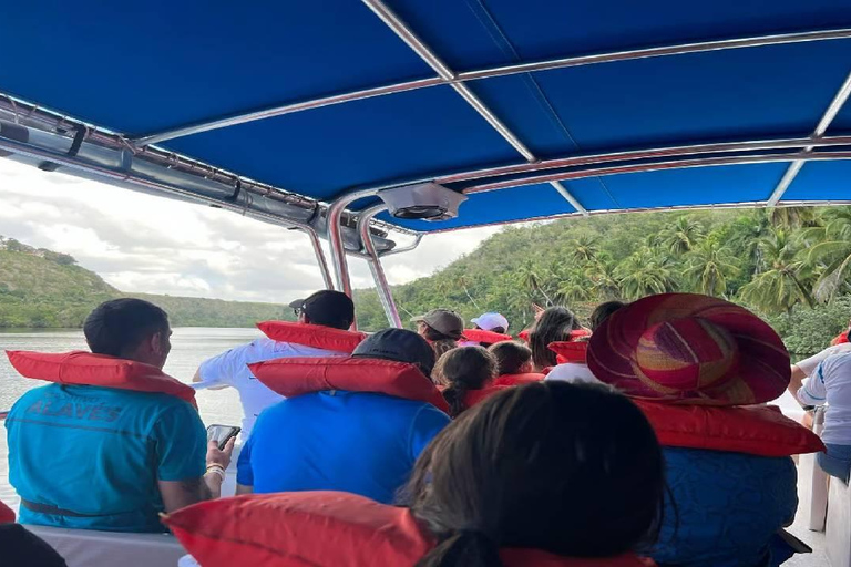 Punta Cana: Saona Island Speedboat Tour with Lunch