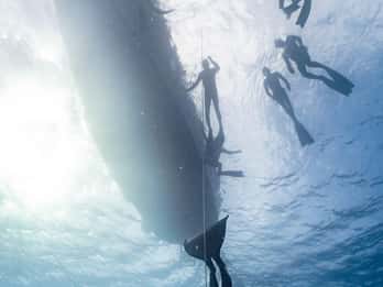 Las Palmas: Freedive & Deep Snorkel Experience For Beginners