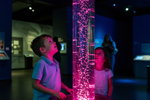 Participatory Science Museum Buenos Aires Private Tour 3-hour: Participatory Science Museum Tour (with Transport)