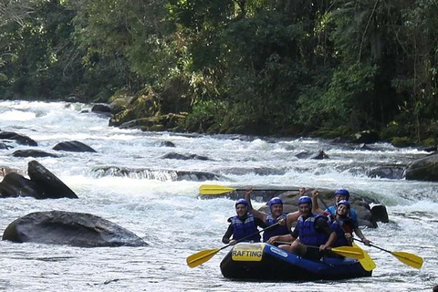 Mambucaba River Rafting with Stunning Forest Scenery Access
