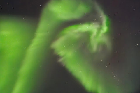 Abisko: Aurora Night & Swedish Glögg - Snowshoe Experience