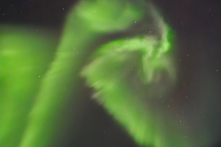 Abisko: Aurora Night & Swedish Glögg - Snowshoe Experience