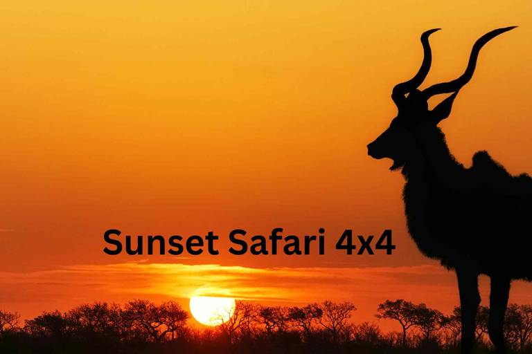 Victoria Falls: Sunset Safari 4x4Private Tour