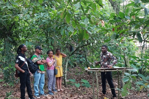 Jardins botaniques d'Aburi et première ferme de cacao
