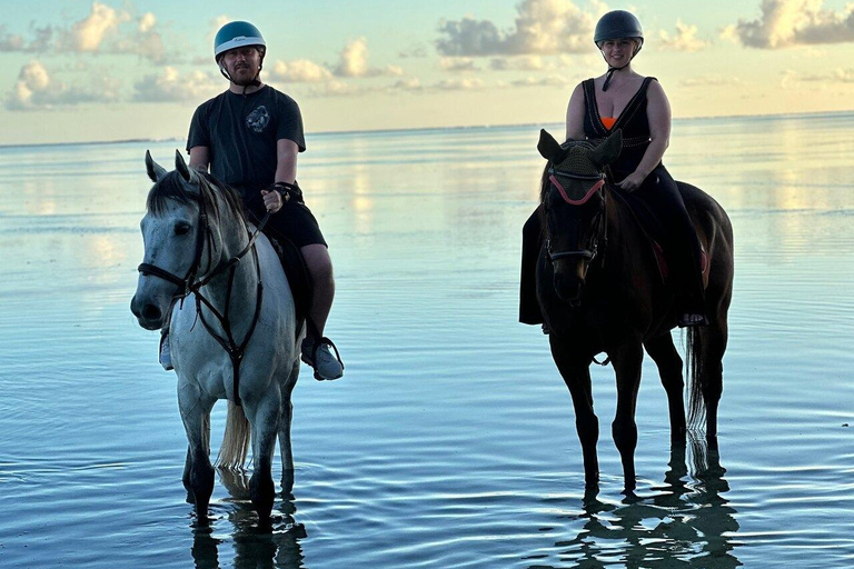 Mauritius : South-West Horse Riding Tour with Lunch Nature & Adventure: South-West Horse Riding Tour with Lunch
