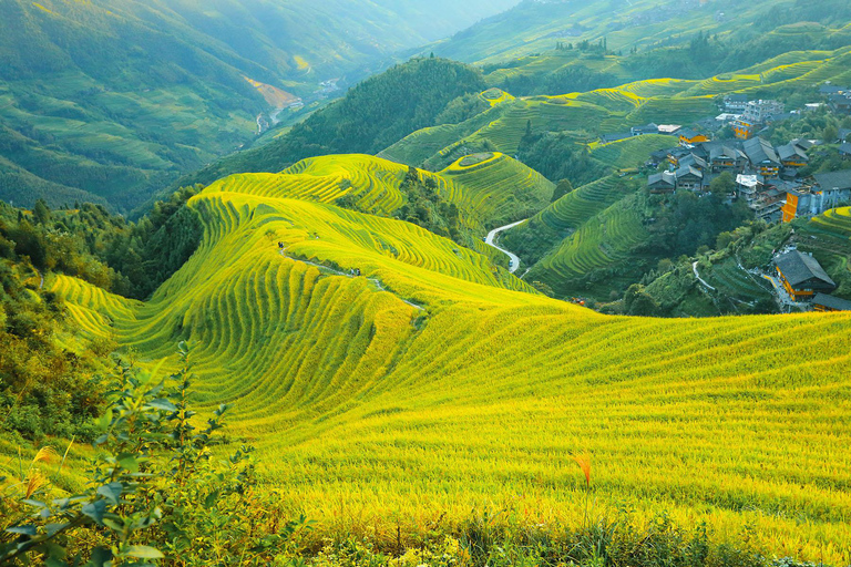 Small Group Day Tour to Longji Rice Terraces With Guide