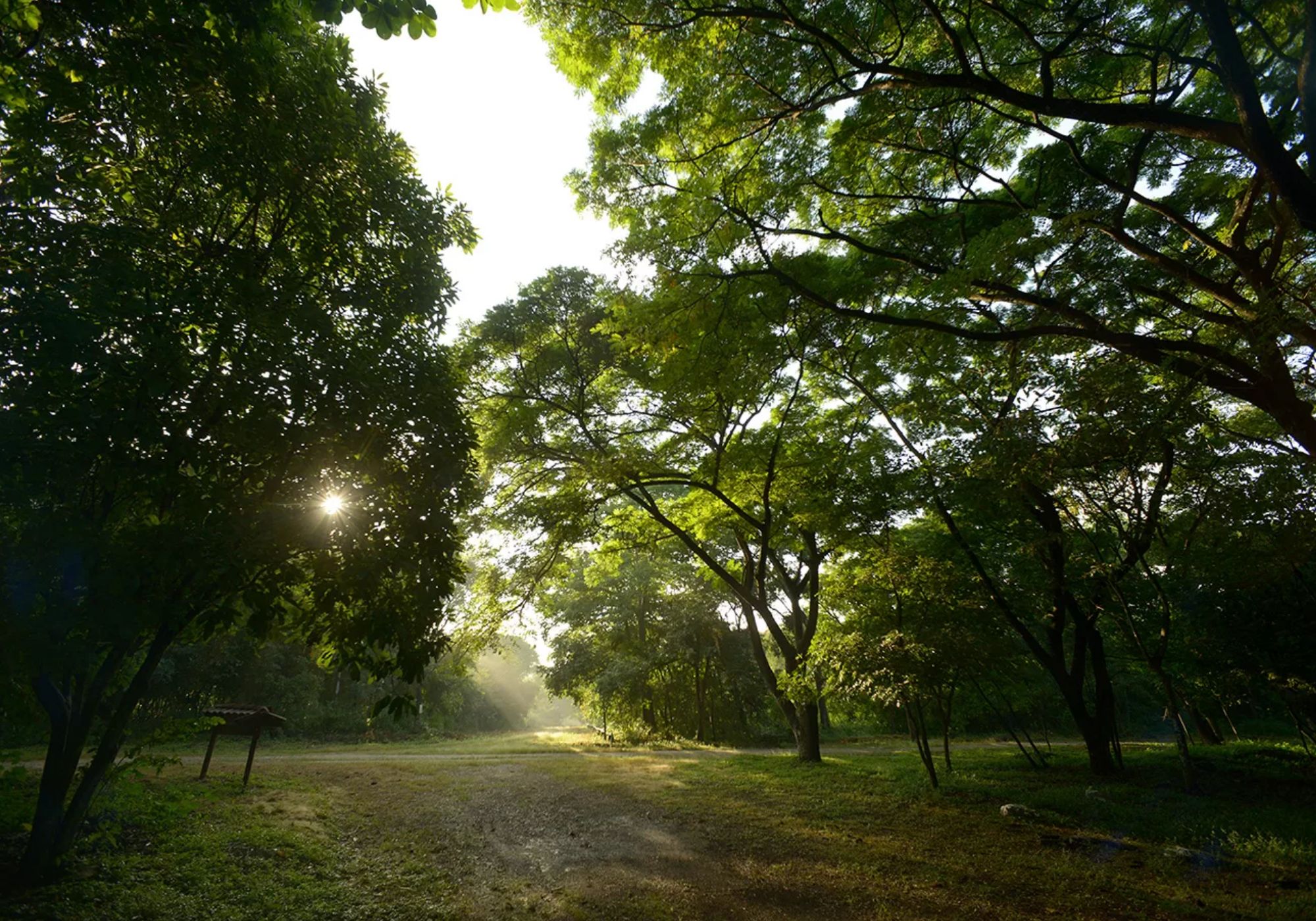 Guayaquil: Geführte Tour durch den geschützten Wald von Cerro Blanco