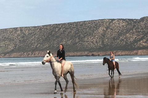 Agadir/ Taghazout : 2 heures de randonnée à cheval sur la plageRandonnée à cheval à Taghazout