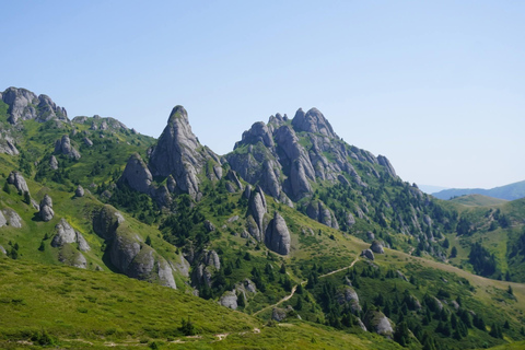 From Bucharest: Heli Hike in the Carpathian Mountains