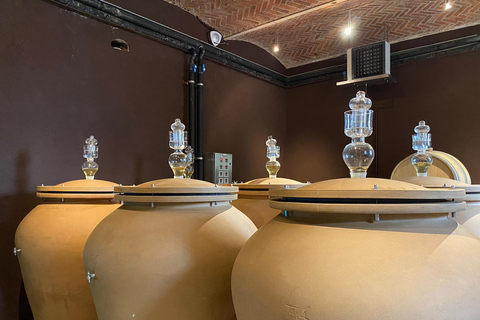 Paris: Prestige Sancerre Wine Tour with 10 Tastings & Lunch