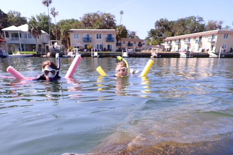 Crystal River: Guided Manatee Tour Heated Boat Free Photos