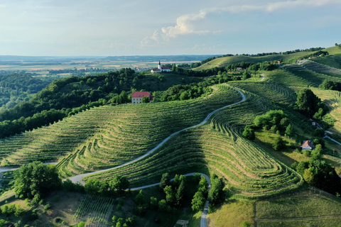 Ljubljana: Ptuj & Haloze Wine Cellar Tour with Tastings