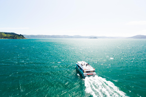 Wellington: The Great Harbour of Tara Electric Ferry Tour