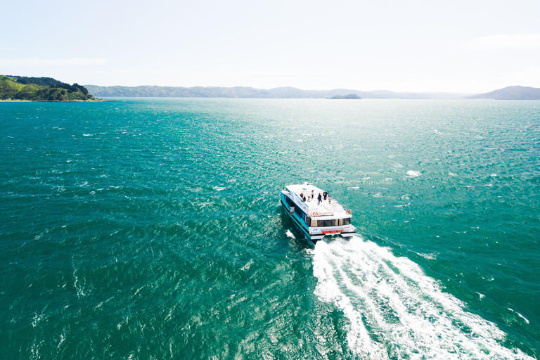 Wellington: The Great Harbour of Tara Electric Ferry Tour