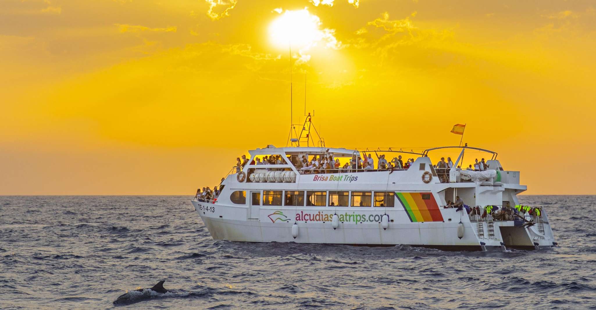 Port d'Abrudia, Sunrise at Sea & Dolphin observando el recorrido en barco - Housity