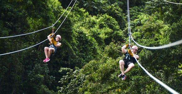 Punta Cana: Ziplines Adventures & Monkeyland Entry