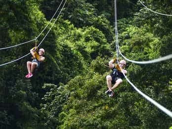 Punta Cana: Ziplines-Abenteuer & Affenland-Eintritt