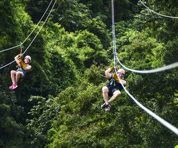 Punta Cana: Ziplines Adventures & Monkeyland Entry