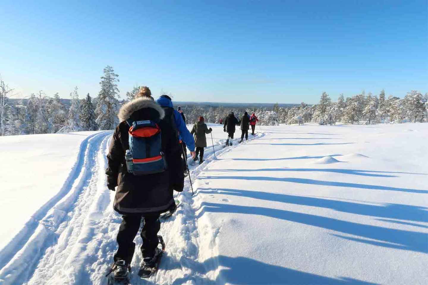 Luleå: snowshoeing in pristine nature with an expert guide!