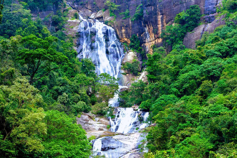 Ella: tour guiado de caça às cascatas com almoço