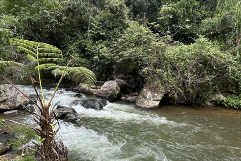 Cali: Hike to Jorobas de Camello, Views, and River Swim Cali: Hike to Jorobas de Camello, Scenic Views, and River Swim