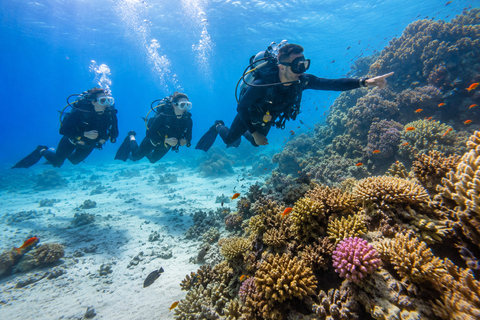Marsa Alam: Shore Dive Experience w Transfer Beginners: 30 mins