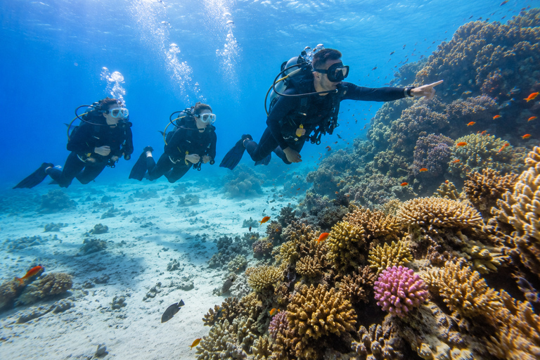 Marsa Alam: Shore Dive Experience w Transfer Beginners: 30 mins