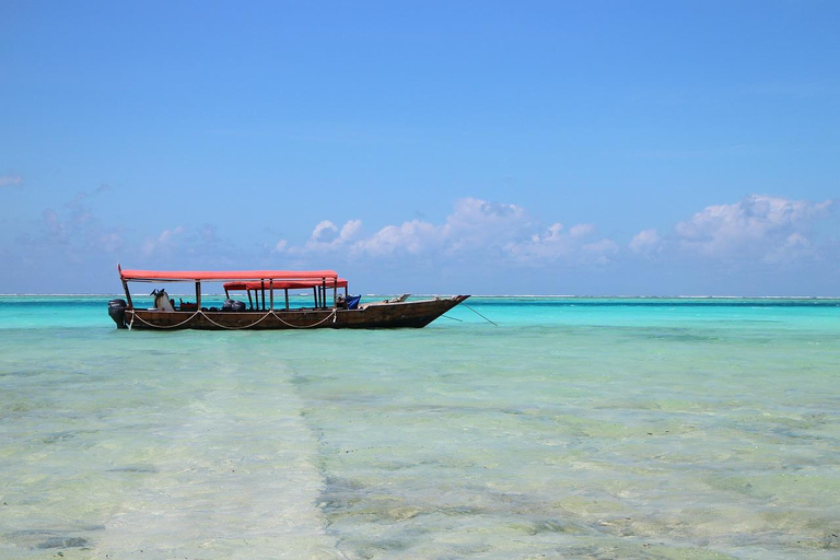 Nadar con Caballo en la Playa - ( Nungwi-Zanzibar)