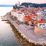 Da Trieste: Pirano e le colline slovene