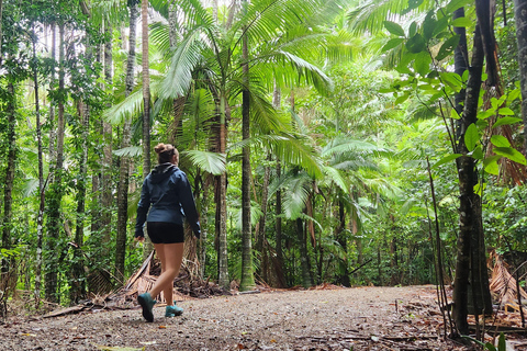 Waterfalls & Bushwalk Eco Adventure Tour