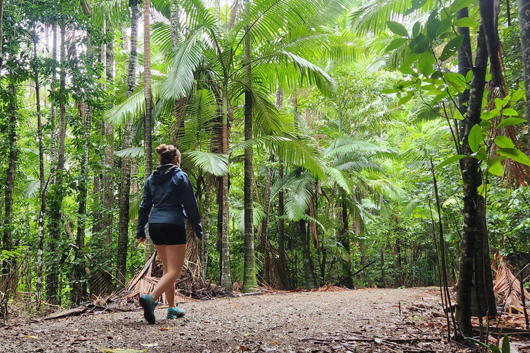 Waterfalls & Bushwalk Eco Adventure Tour