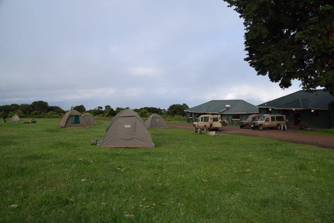 Serengeti: 6-tägige Camping Safari &amp; Materuni Kaffee TourSerengeti: 6-tägige Camping-Safari &amp; Materuni Kaffee-Tour