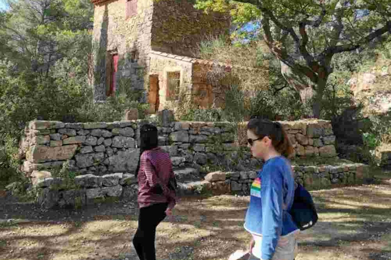 From Tholonet to the Bibémus quarries: Cézanne Hike