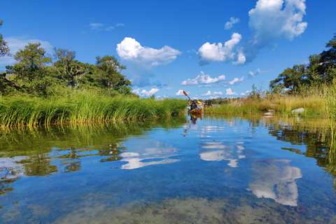 Stockholm: Stockholm Archipelago Full-Day Kayak Tour