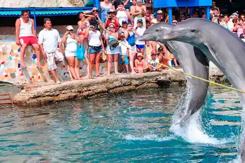 Tour Acuario centro de vida Marina y playa blanca!