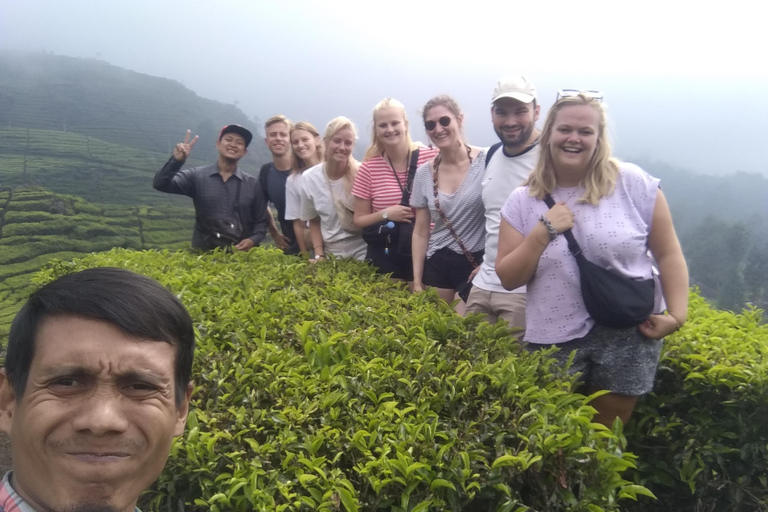 Bandung : Private Tour Guide Sightseeing (Costum tour)