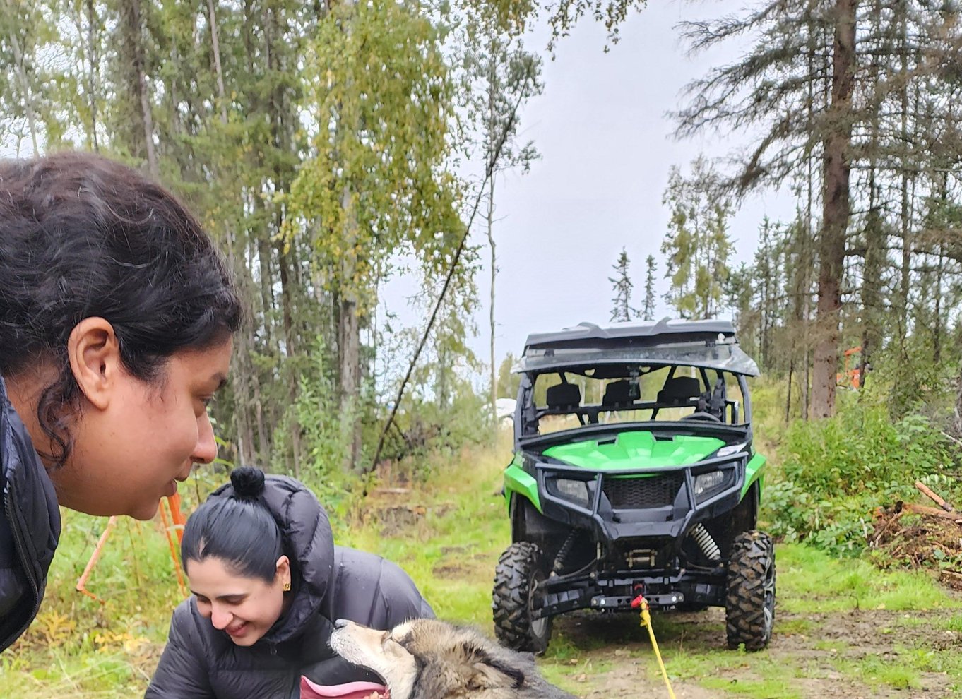 Fairbanks: Alaskas sommerslædehundeeventyr