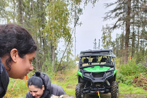 Fairbanks : Aventure d&#039;été en chiens de traîneau en AlaskaDurée de la visite