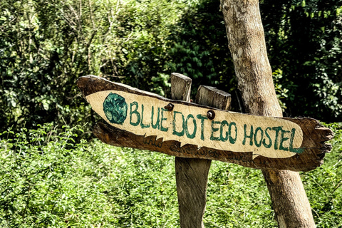 Santa Marta : randonnée dans la jungle de la Sierra Nevada avec collation