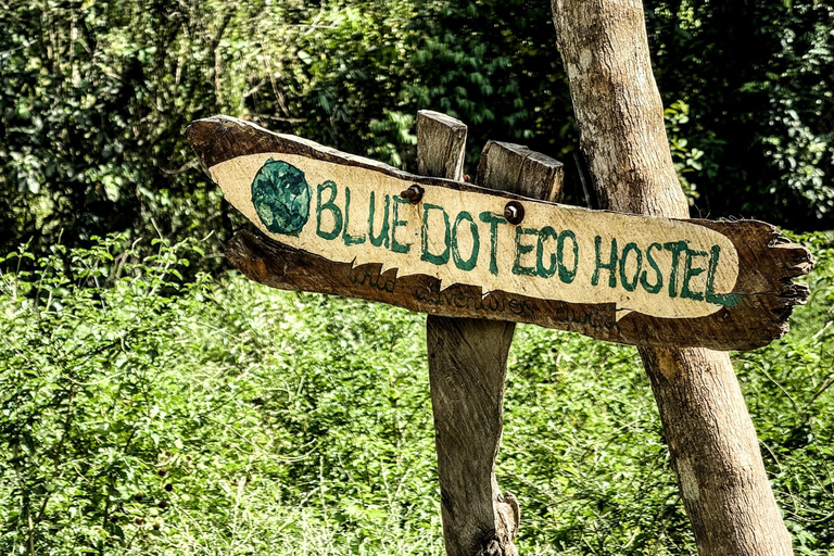 Santa Marta : randonnée dans la jungle de la Sierra Nevada avec collation